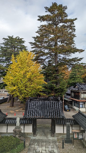 f:id:mmayamaya:20221201064153j:image