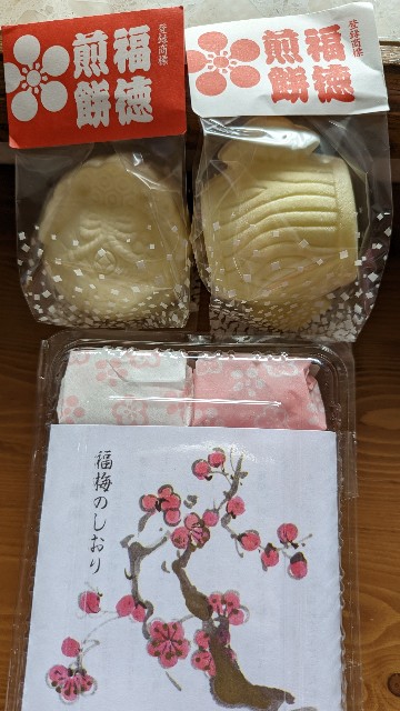 f:id:mmayamaya:20221214085725j:image