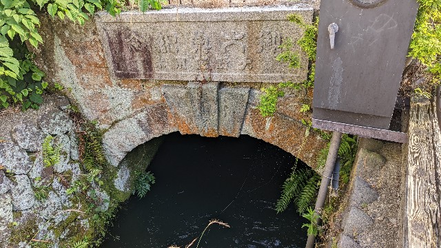 f:id:mmayamaya:20230819170826j:image