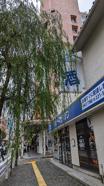 f:id:mmayamaya:20231025085746j:image