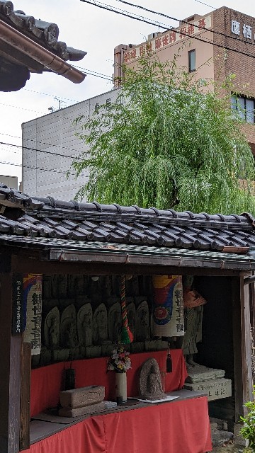 f:id:mmayamaya:20231110135744j:image