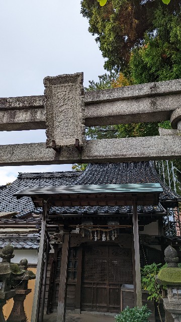 f:id:mmayamaya:20231110135848j:image