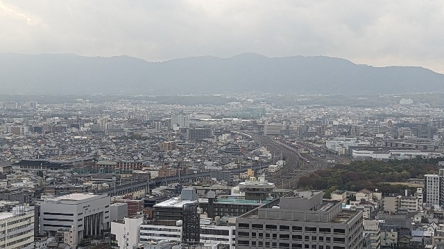 f:id:mmayamaya:20231126174303j:image