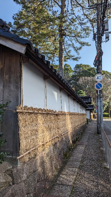 f:id:mmayamaya:20231213134352j:image