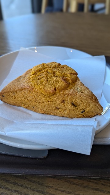 f:id:mmayamaya:20241111182142j:image