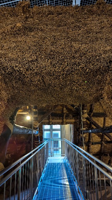 f:id:mmayamaya:20250113171105j:image