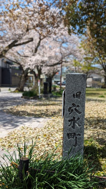 f:id:mmayamaya:20250213145623j:image