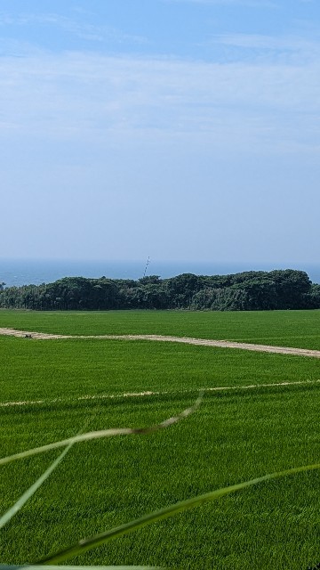 f:id:mmayamaya:20250820184040j:image