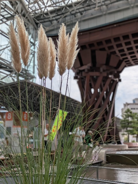 f:id:mmayamaya:20251006104701j:image