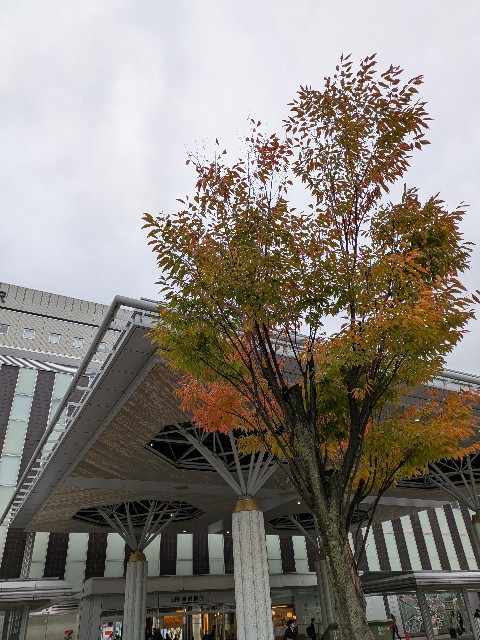 f:id:mmayamaya:20251101190338j:image