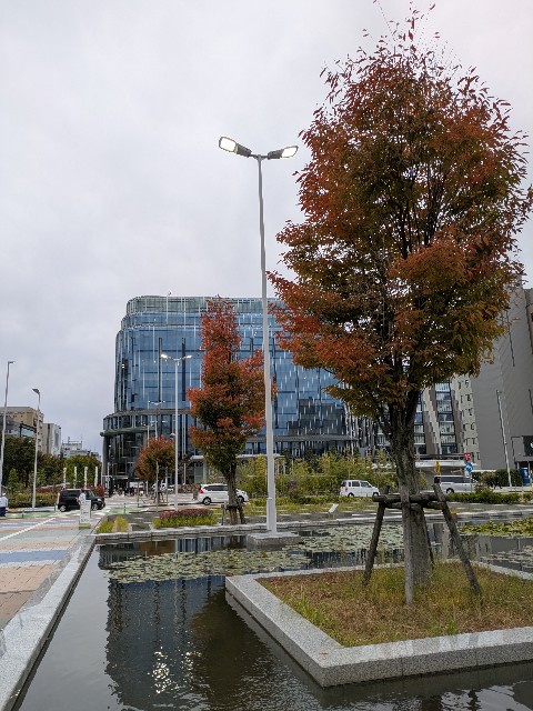 f:id:mmayamaya:20251101190356j:image