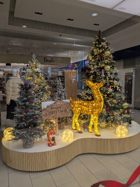 f:id:mmayamaya:20251101190419j:image