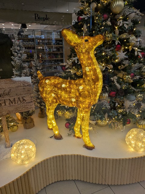 f:id:mmayamaya:20251101190435j:image