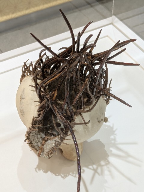 f:id:mmayamaya:20251110182711j:image f:id:mmayamaya:20251110182711j:image