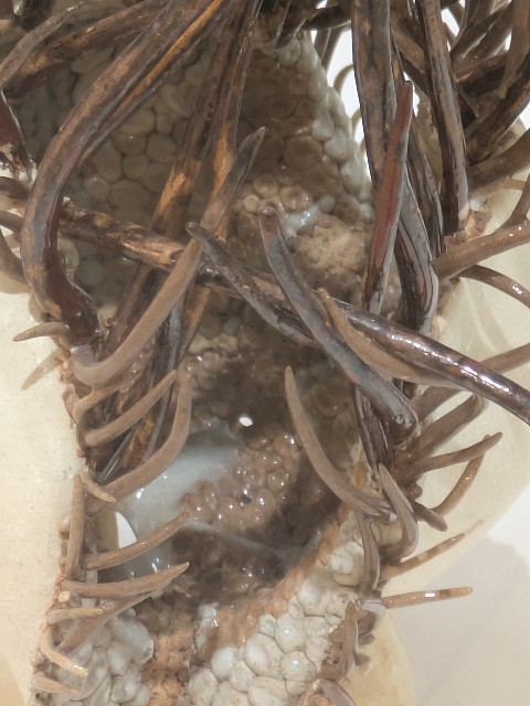 f:id:mmayamaya:20251110182726j:image f:id:mmayamaya:20251110182726j:image