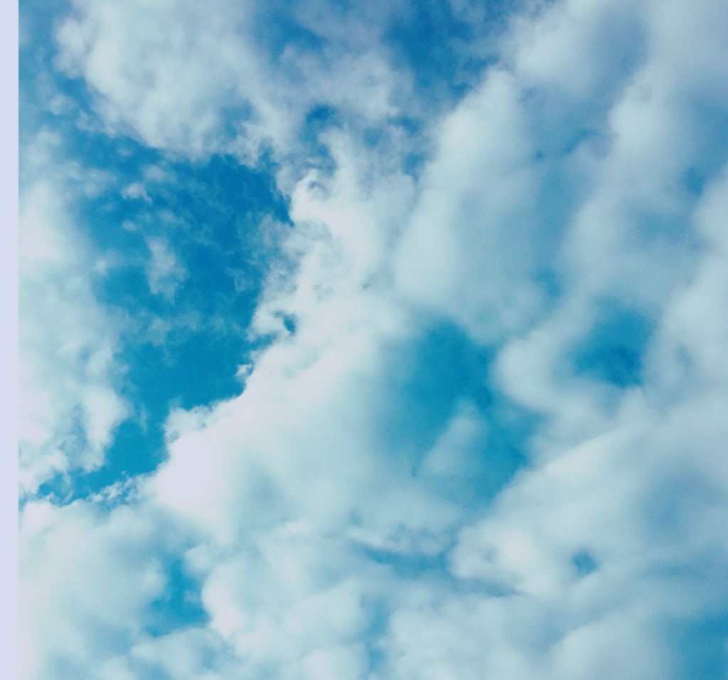 f:id:mmayuminn:20190130074047j:plain f:id:mmayuminn:20190130074047j:plain