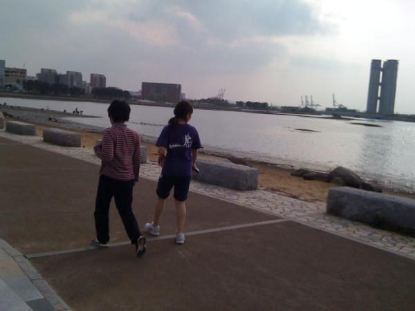 f:id:mmcompany:20181203233215j:plain
