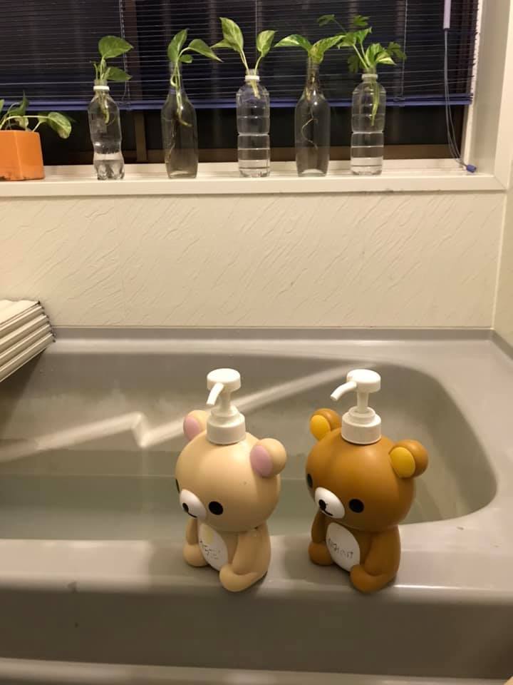 リラックマの悲劇 梅田香子 ぼこぼこ場外乱闘編