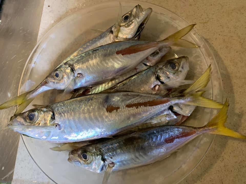 f:id:mmcompany:20190825103415j:plain