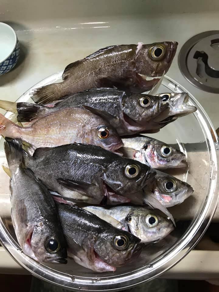 f:id:mmcompany:20190825103446j:plain