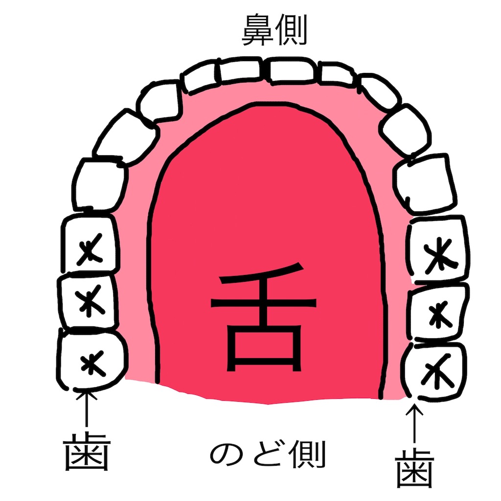 き の発音がおかしい 文系お姉さんの日記