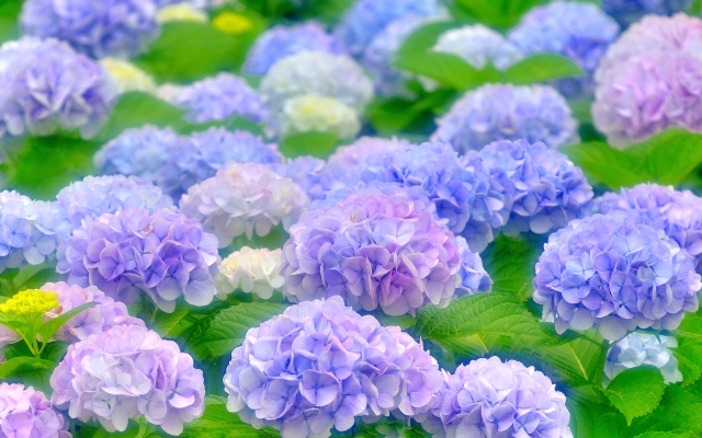 f:id:mmee1818:20190516082829j:plain f:id:mmee1818:20190516082829j:plain