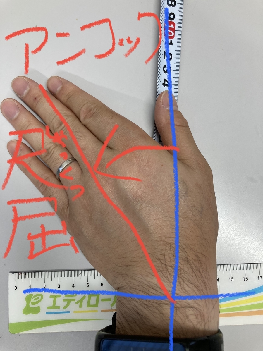 f:id:mmeito:20210525184300j:plain