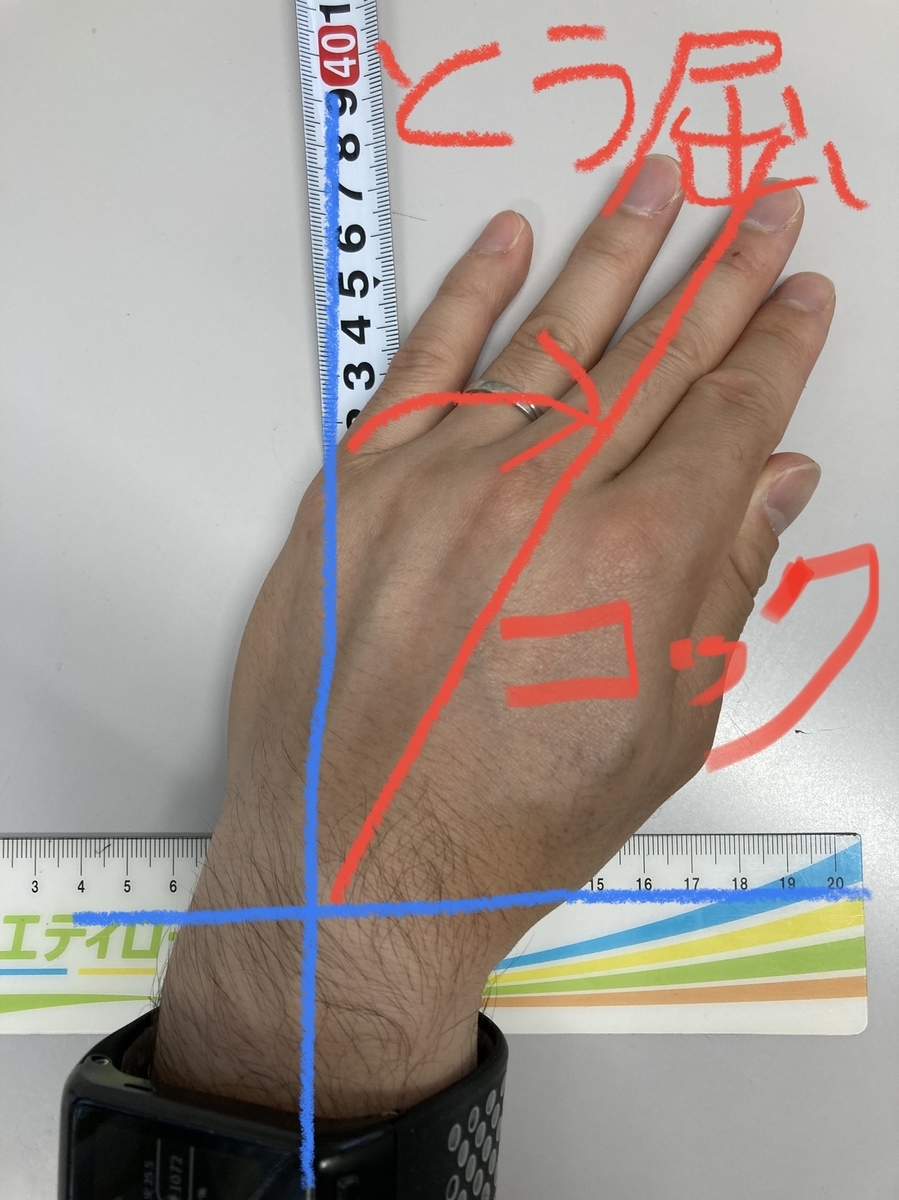 f:id:mmeito:20210525184303j:plain