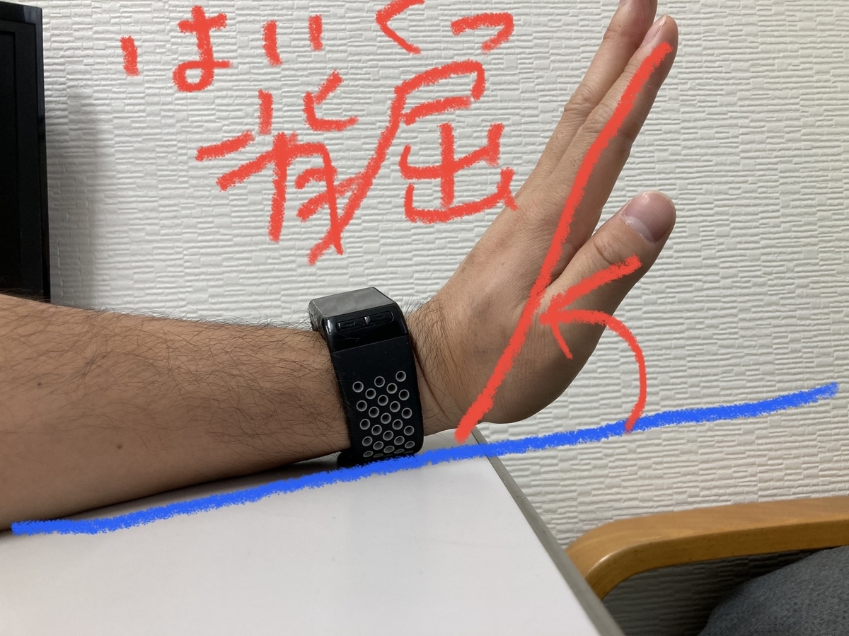 f:id:mmeito:20210525184311j:plain