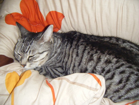 f:id:mmin:20120214084524j:image f:id:mmin:20120214084524j:image