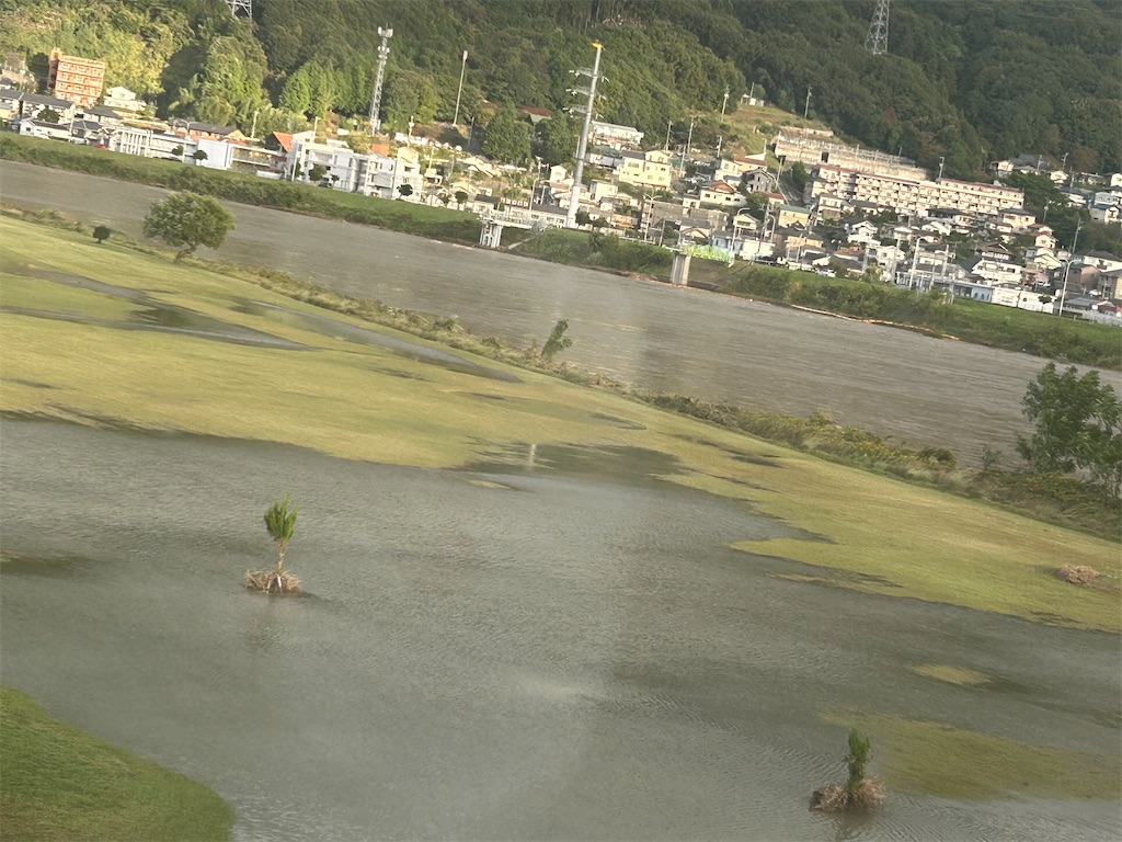 f:id:mminako1030:20241102214250j:image