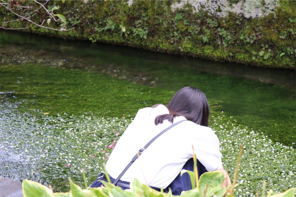 f:id:mminosan:20200814161649j:image