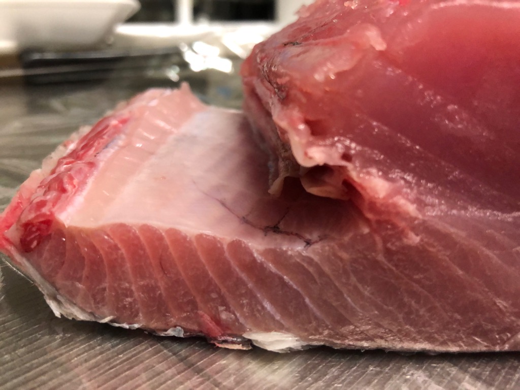 釣ったキハダマグロとビンチョウマグロと毒カツオを食す O 三重県 釣りバカ 山登りのブログ 三重北部発信