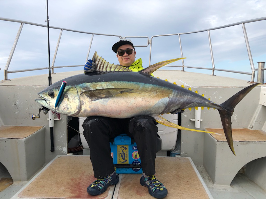 2022 令和4年4月23日 熊野灘 キハダキャスティング - 三重県