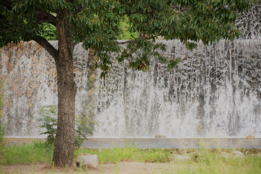 f:id:mmm-thatsfine:20170815104341j:plain