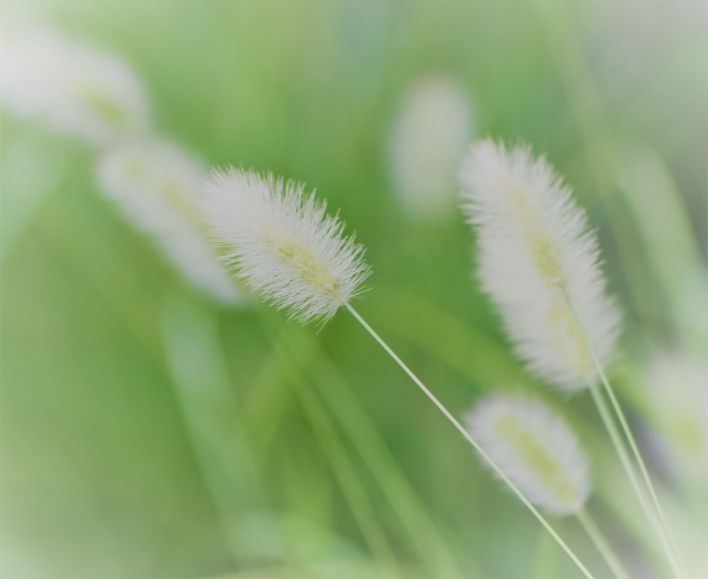 f:id:mmm-thatsfine:20170820153312j:plain