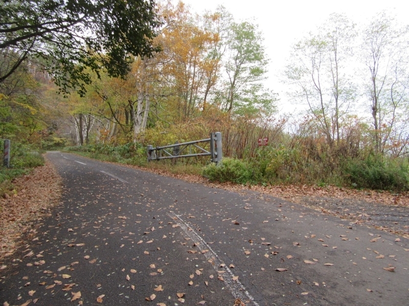 f:id:mmm000mmm:20181106143404j:image:w400