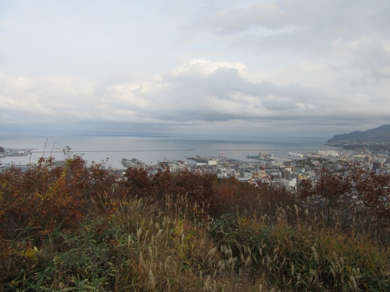 f:id:mmm000mmm:20181106144456j:image:w400