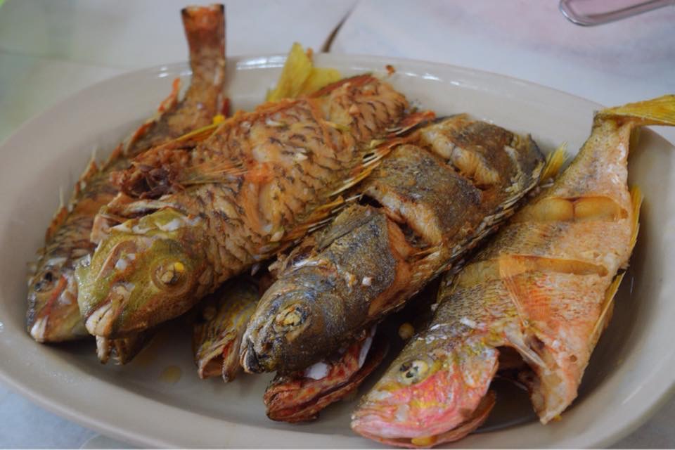 f:id:mmmihooo:20181219024133j:plain