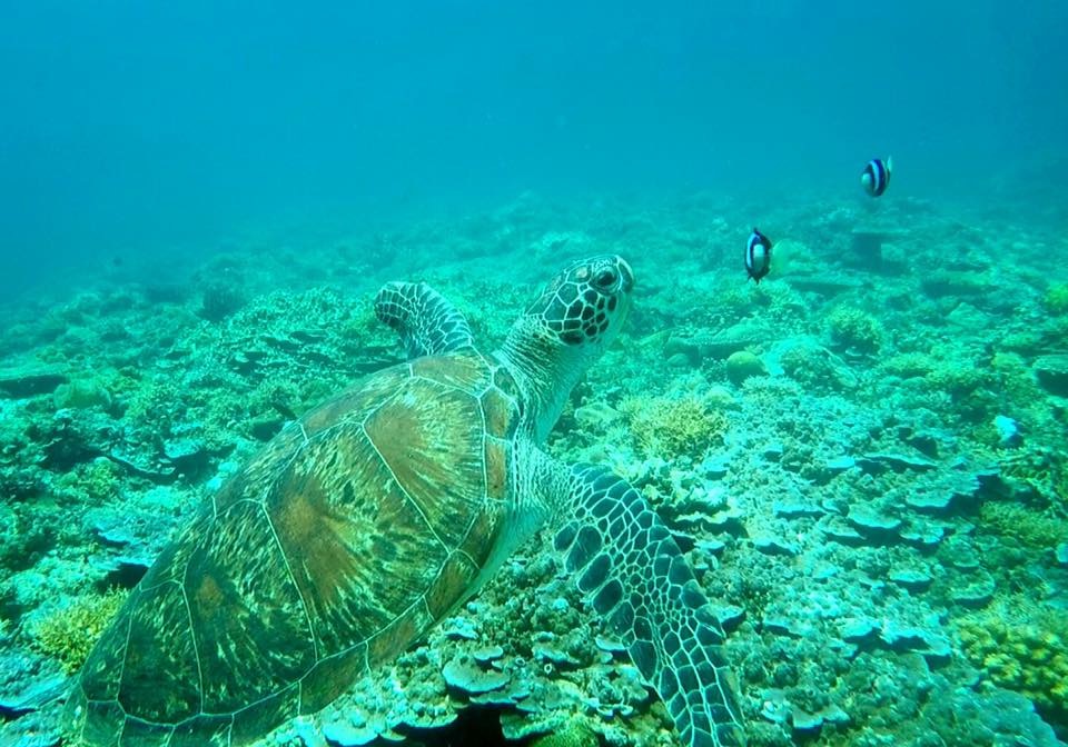 f:id:mmmihooo:20181219031644j:plain