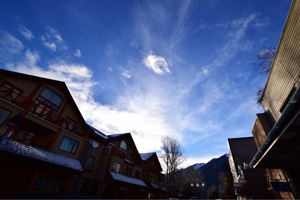 f:id:mmmihooo:20181222143111j:plain