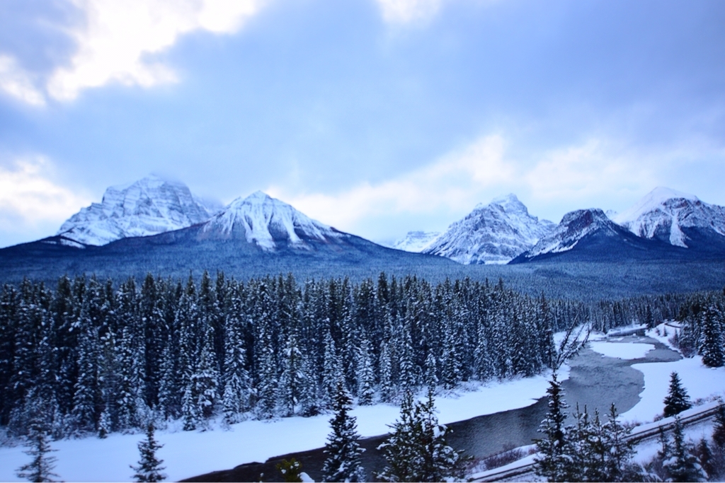 f:id:mmmihooo:20181222143155j:plain