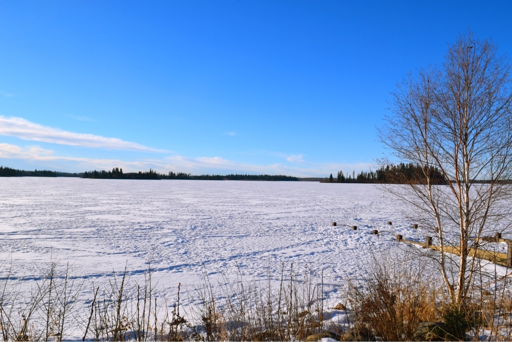 f:id:mmmihooo:20181222153133j:plain