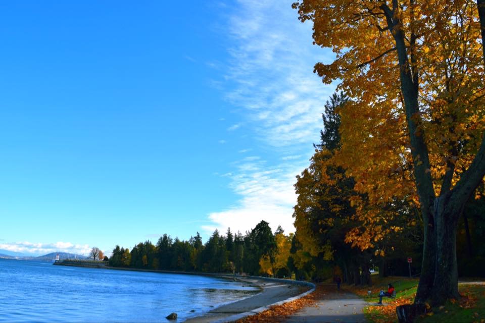 f:id:mmmihooo:20190116120700j:plain