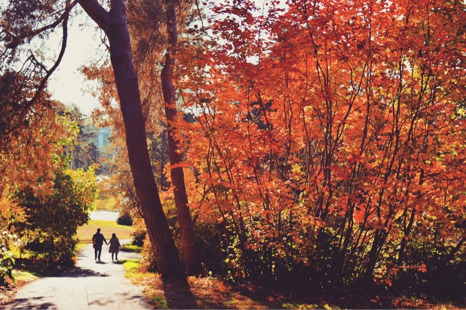 f:id:mmmihooo:20190116124626j:plain