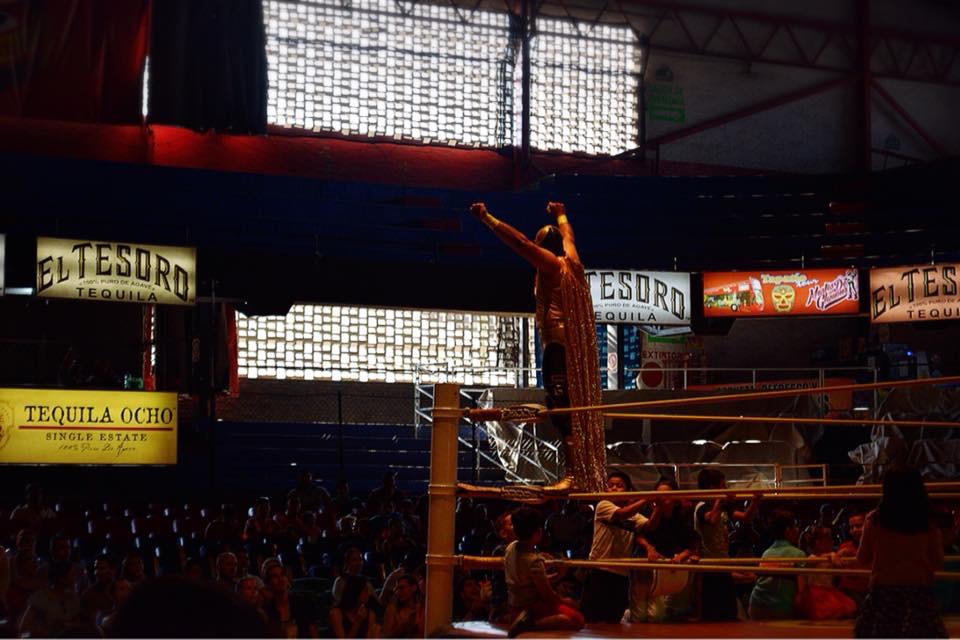 f:id:mmmihooo:20190510124843j:plain