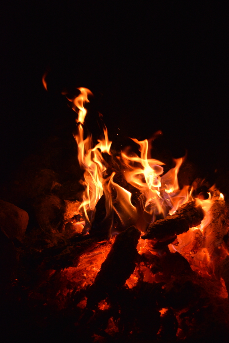 f:id:mmmihooo:20191128172246j:plain