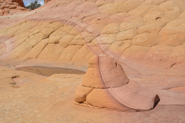 f:id:mmmiler:20170224174204j:plain f:id:mmmiler:20170224174204j:plain