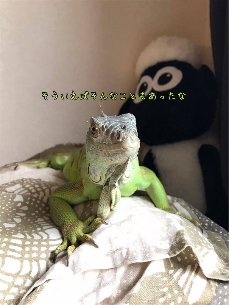 f:id:mmmissaa:20170627185019j:image