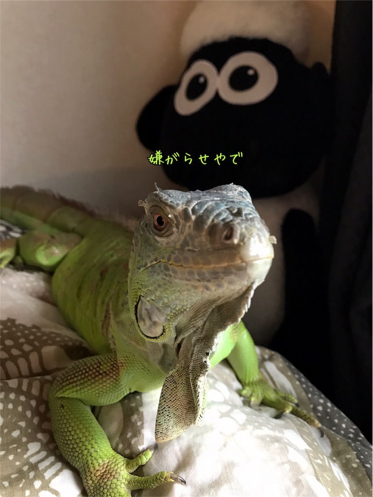 f:id:mmmissaa:20170627215754j:image
